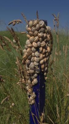 Ambiente : Cosmopolitan Golf & Country Club in toscana