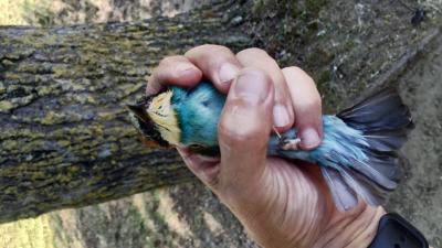 Ambiente : Cosmopolitan Golf & Country Club in toscana