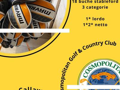 SUMMER CUP 2025 By Callaway