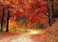 LOUISIANA D'AUTUNNO BY CALLAWAY