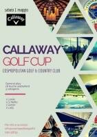 CALLAWAY GOLF CUP