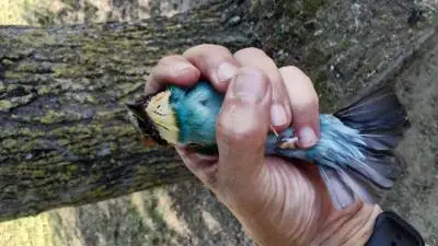 97598391-cab5-49ad-b7b6-3814ff9de3ea Ambiente : Cosmopolitan Golf & Country Club in toscana