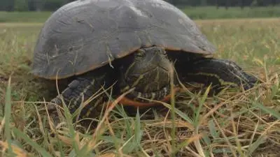 0E2E7E76-2D5F-45B7-9A88-5190EBD49316 Ambiente : Cosmopolitan Golf & Country Club in toscana