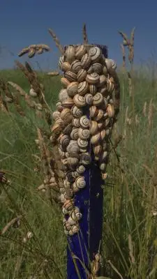 12360c14-0004-447c-9780-ea8c00afef9f---copia Ambiente : Cosmopolitan Golf & Country Club in toscana