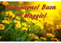 LOUISIANA DEL 1&deg; MAGGIO